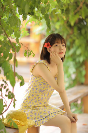 忘忧草代表什么意思