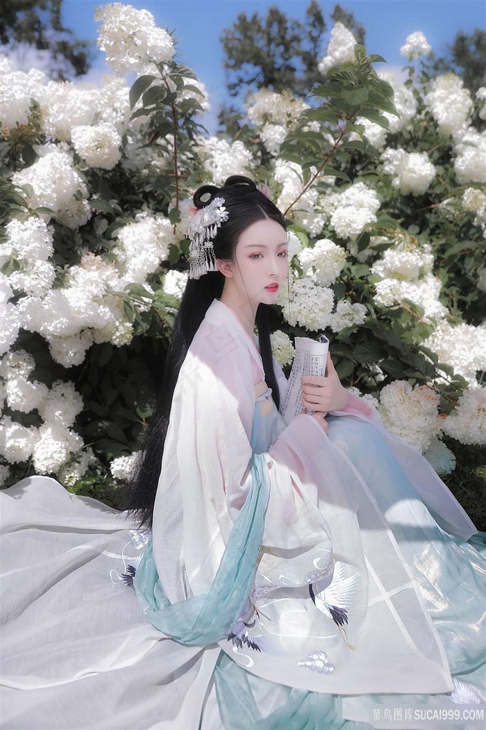 姐妹牙医赤坂丽