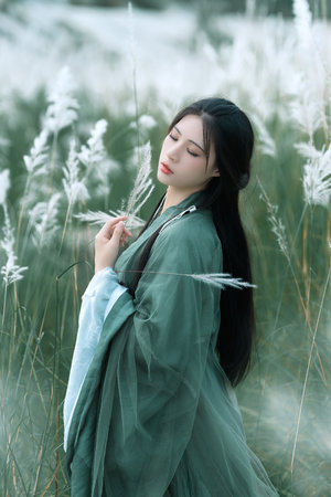 我的风流岳每3韩语中字BD