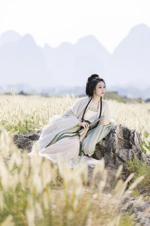 青丝免费观看高清影视