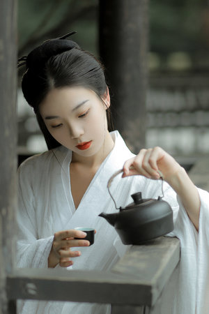 千山暮雪电视剧