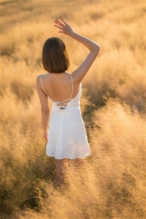 天才基本法在线